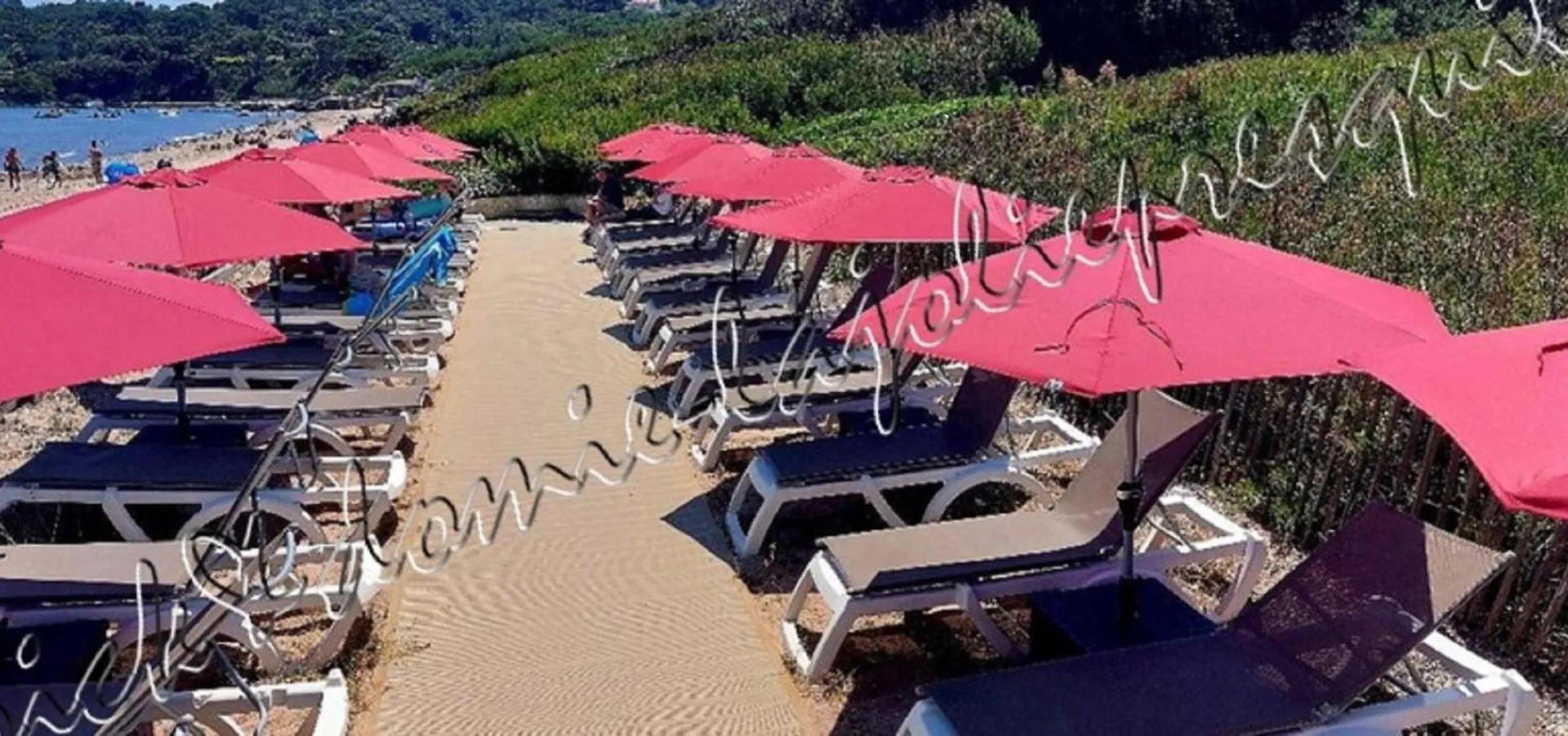 Apartment Magnifique Parc De La Presqu'Ile Avec Piscine Et Plage Face A Porquerolles ! Hyeres France