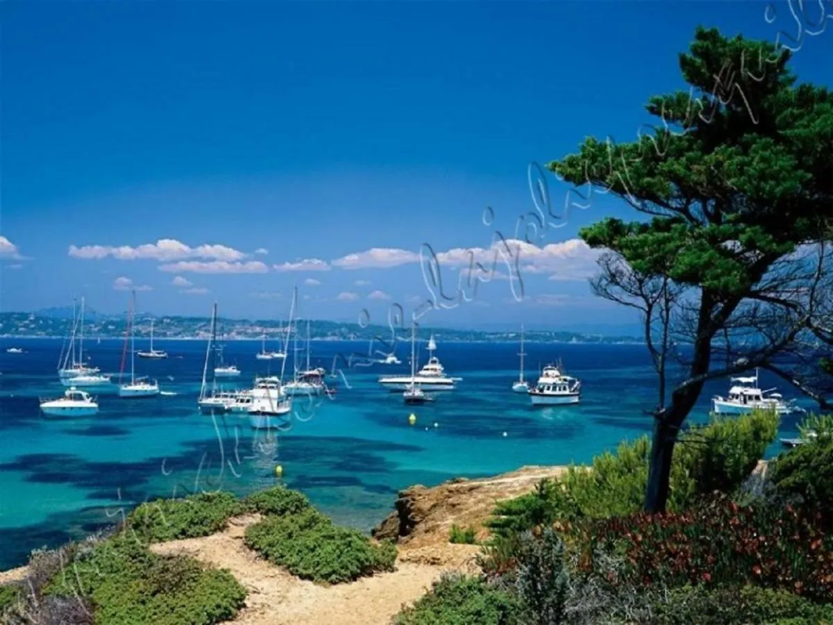 Magnifique Parc De La Presqu'Ile Avec Piscine Et Plage Face A Porquerolles ! Hyeres